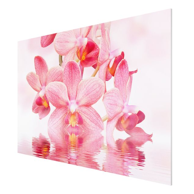 Floral canvas Light Pink Orchid On Water