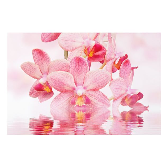 Orchid canvas Light Pink Orchid On Water