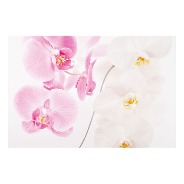 Cat print Delicate Orchids