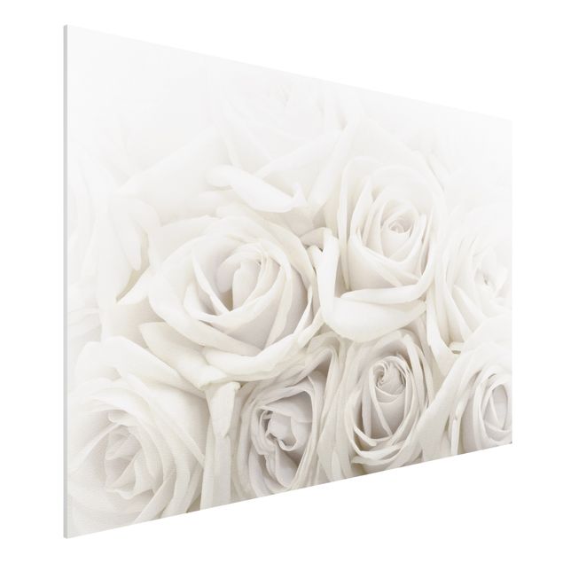 Kitchen White Roses