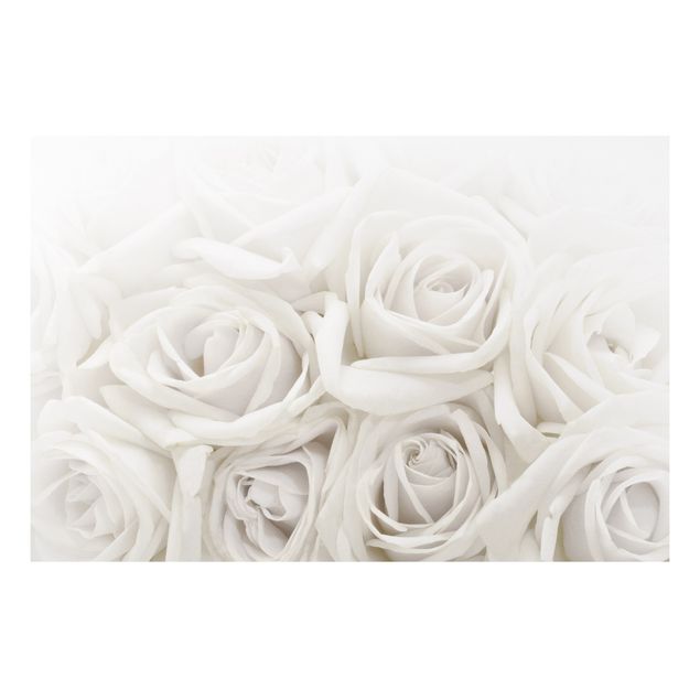 Flower print White Roses