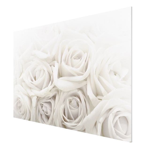 Prints flower White Roses