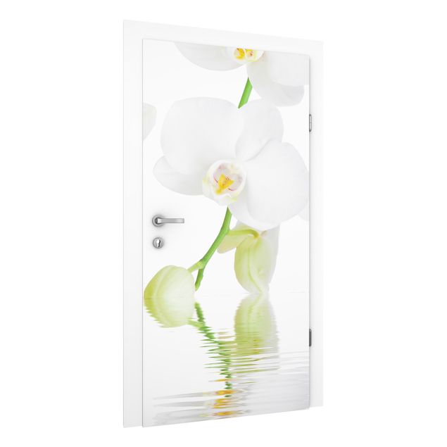 Orchid flower wallpaper Spa Orchid - White Orchid