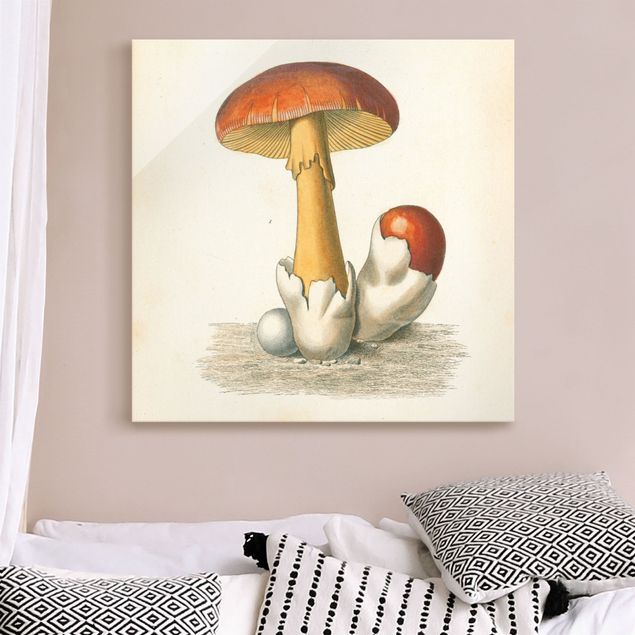 Retro prints French Mushrooms