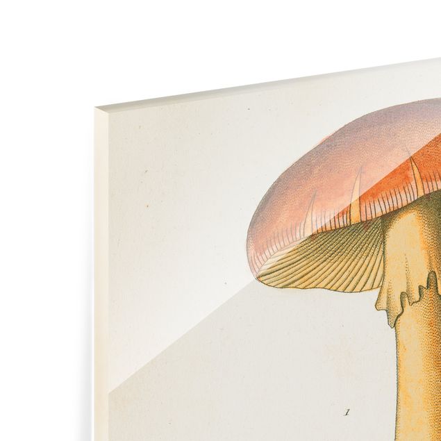 Glass print - French Mushrooms