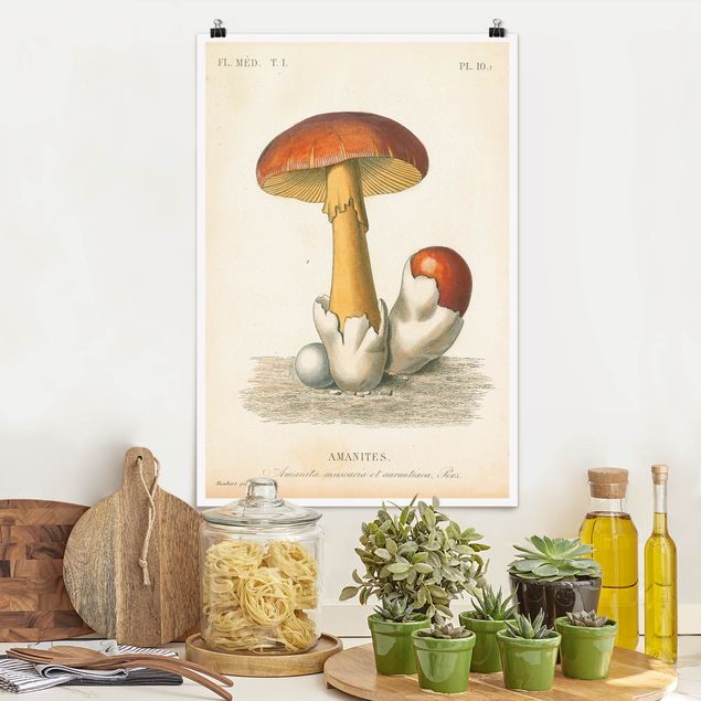 Kitchen French Mushrooms