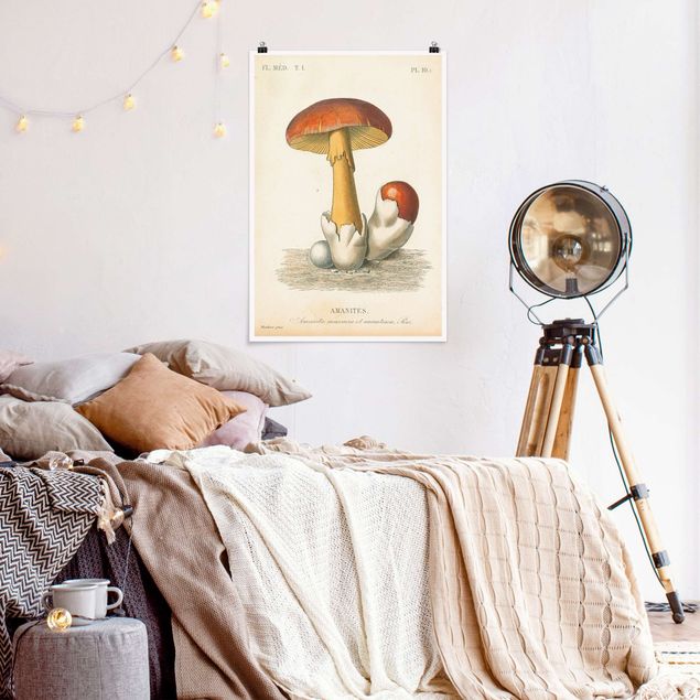 Vintage wall art French Mushrooms
