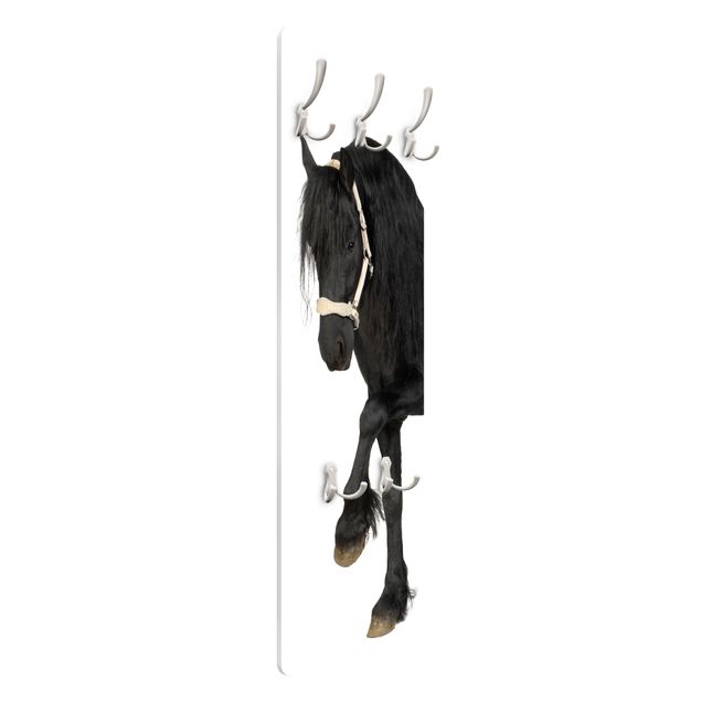 Wall mounted coat rack Friesian Mare