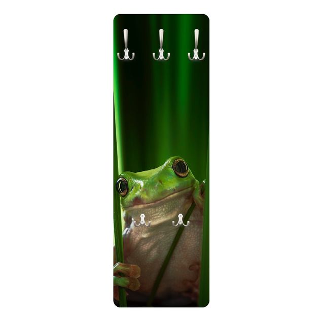 Coat rack - Merry Frog