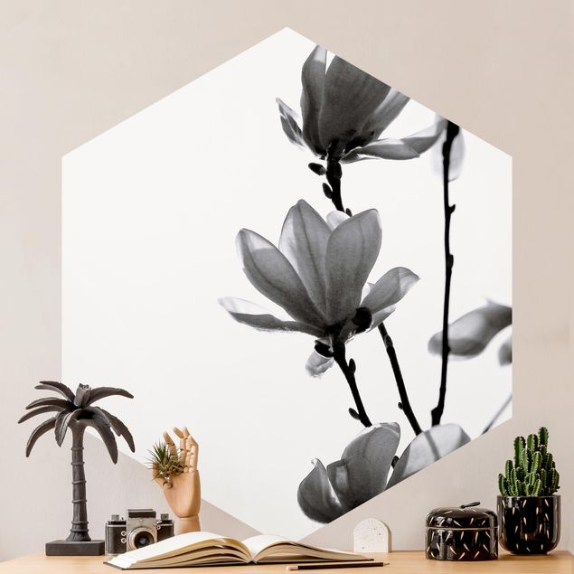 Wallpapers flower Herald Of Spring Magnolia Black And White