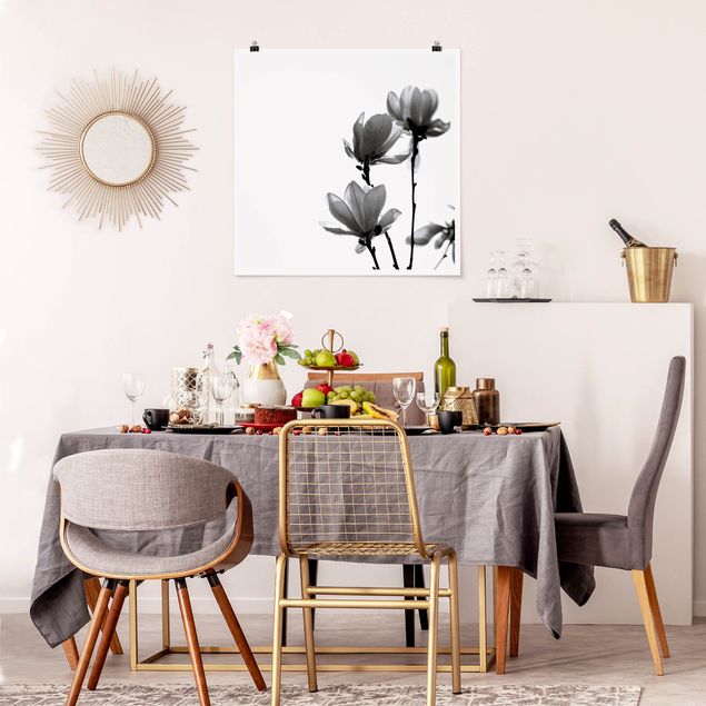 Prints flower Herald Of Spring Magnolia Black And White