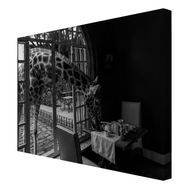 Canvas black and white Breakfast with Giraffe