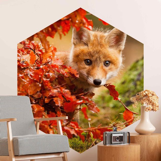 Wallpapers animals Fox In Autumn