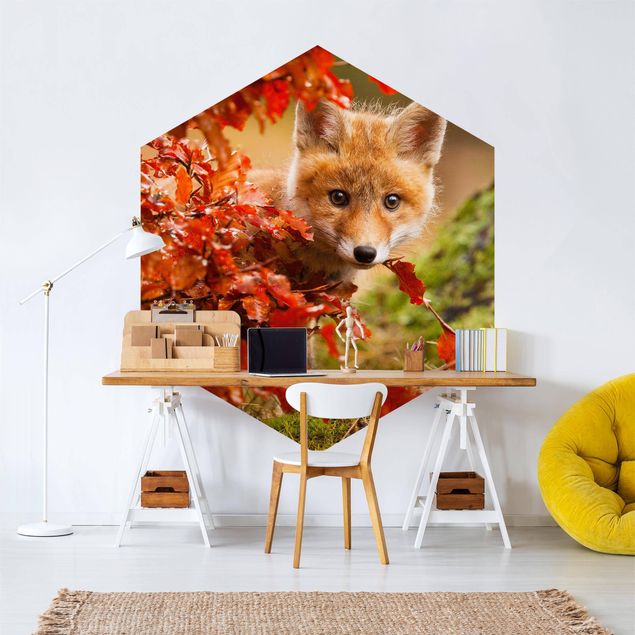 Contemporary wallpaper Fox In Autumn