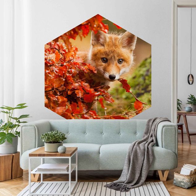Rainforest wallpaper Fox In Autumn