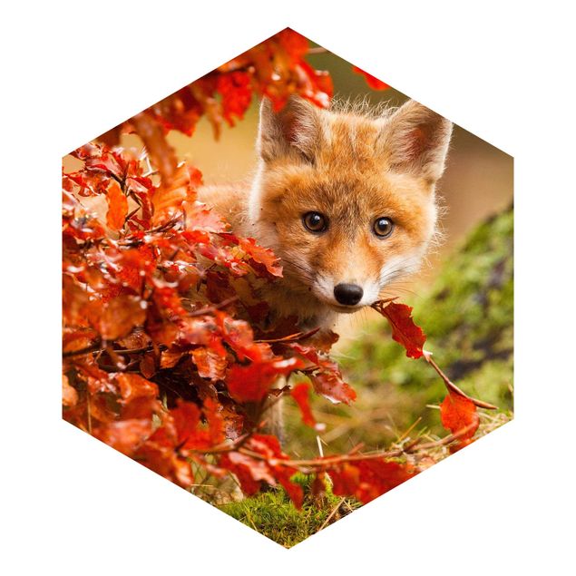 Peel and stick wallpaper Fox In Autumn