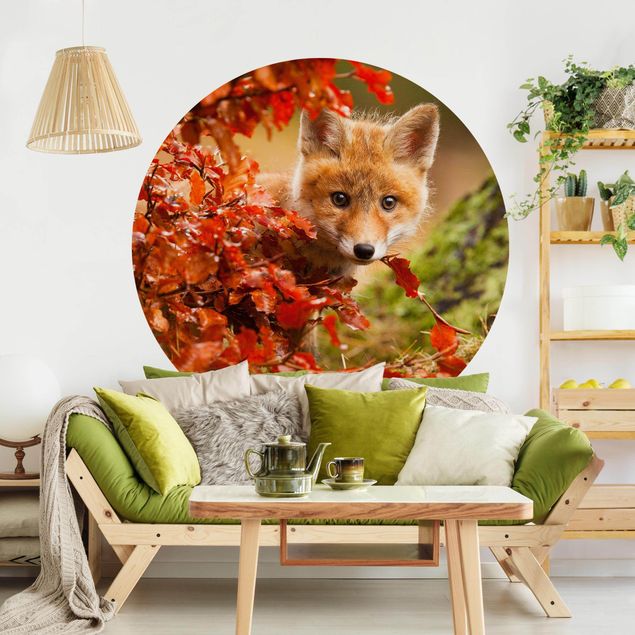Wallpapers animals Fox In Autumn