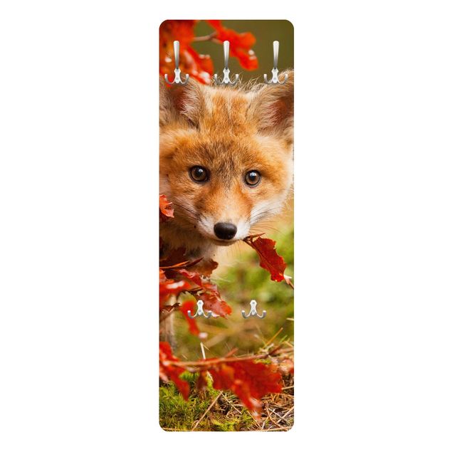 Coat rack - Fox In Autumn
