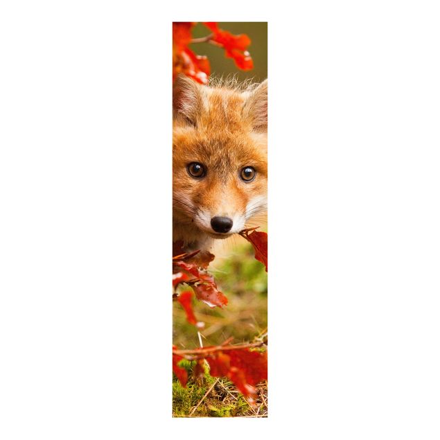 Sliding panel curtains landscape Fox In Autumn