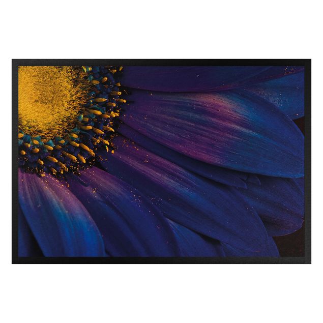 Modern rugs Blue Gerbera Flower