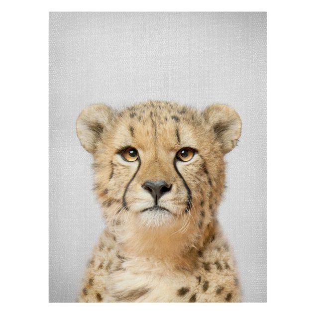 Contemporary art prints Cheetah Gerald