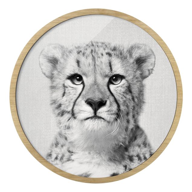 Framed prints black and white Cheetah Gerald Black And White
