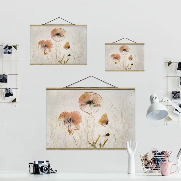 Prints Dried Poppy Flowers With Delicate Grasses