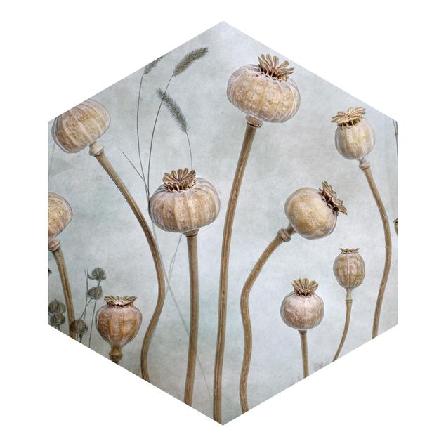 Adhesive wallpaper Dried Poppy Flower