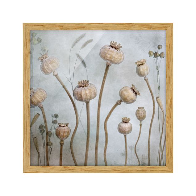 Floral canvas Dried Poppy Flower