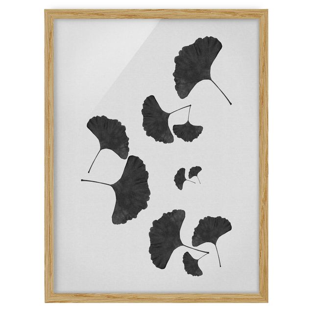 Framed prints black and white Ginkgo Composition In Black And White