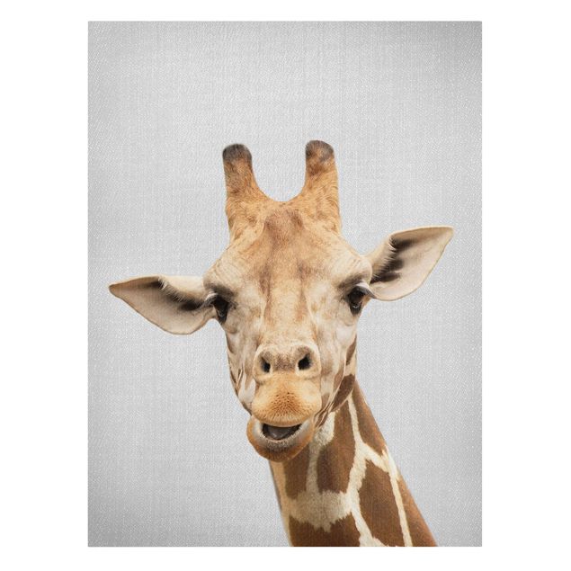 Animal canvas Giraffe Gundel