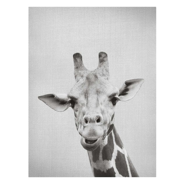 Prints animals Giraffe Gundel Black And White