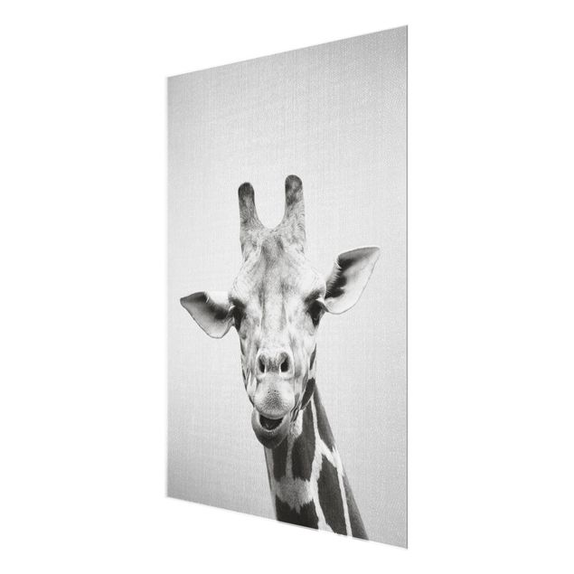 Prints black and white Giraffe Gundel Black And White
