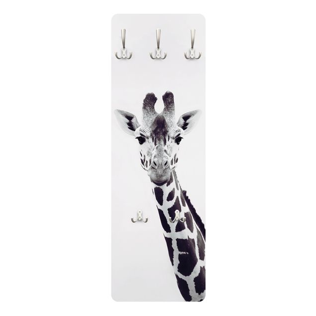 Wall mounted coat rack Giraffe Portrait In Black And White