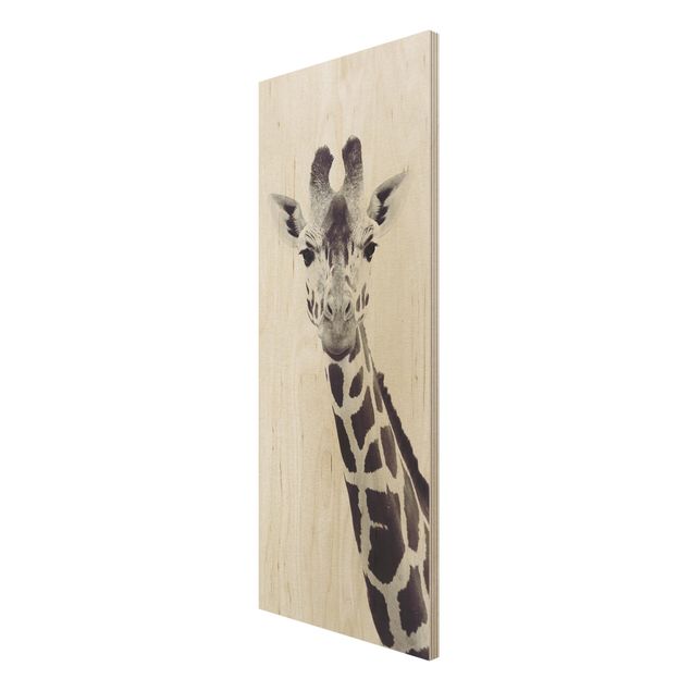 Prints Giraffe Portrait In Black And White