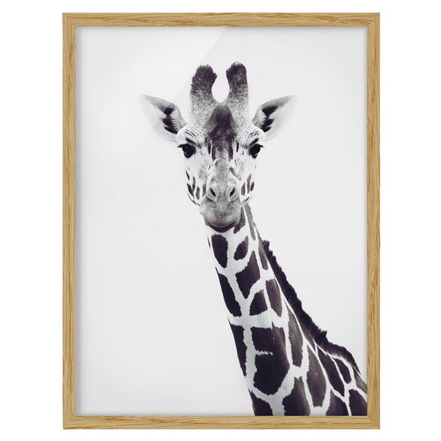 Contemporary art prints Giraffe Portrait In Black And White