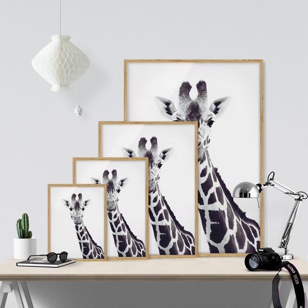Black and white framed pictures Giraffe Portrait In Black And White