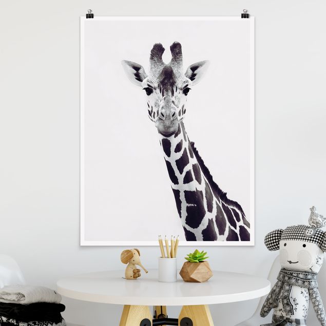 Kitchen Giraffe Portrait In Black And White