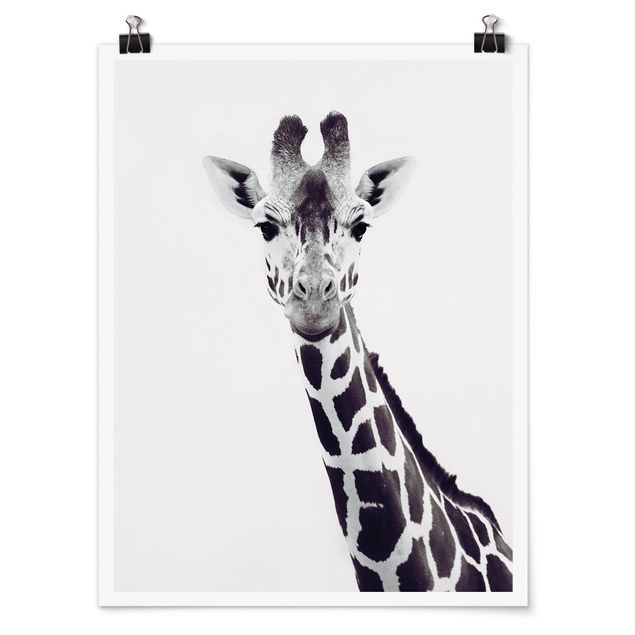 Poster black white Giraffe Portrait In Black And White