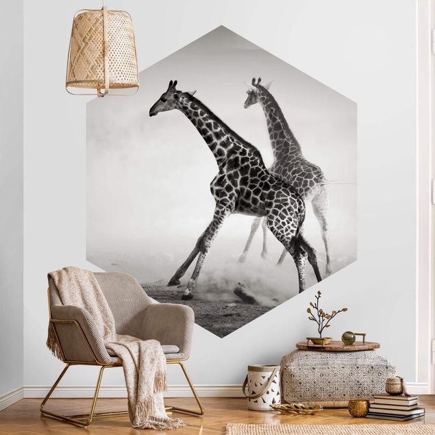 Wallpapers desert Giraffe Hunt