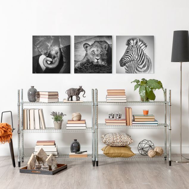 Glass prints black and white Baby Animals