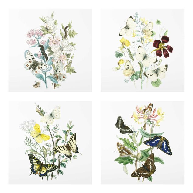 Floral canvas British Butterflies Set II