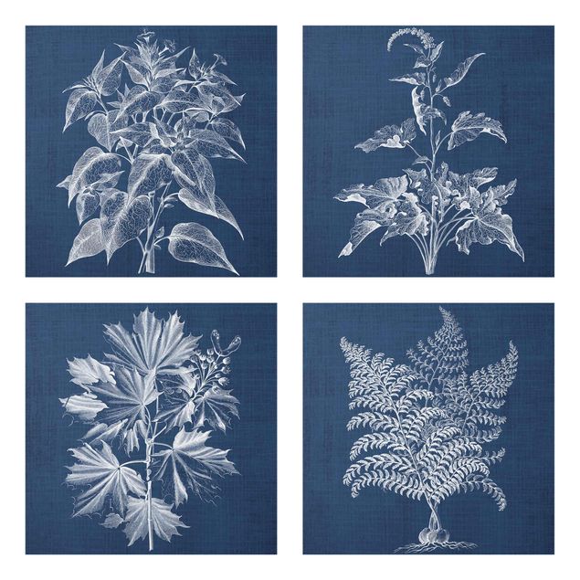 Floral prints Denim Plant Study Set II