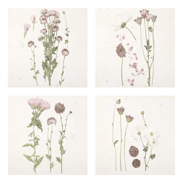 Floral canvas Herbarium In Pink Set I
