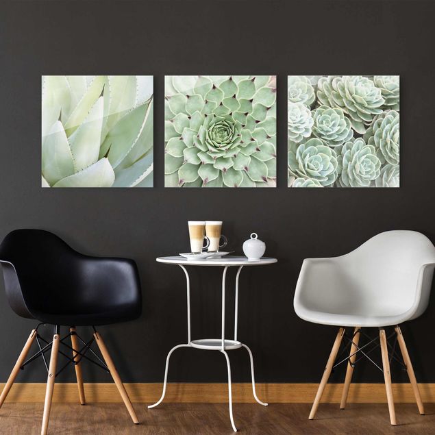 Glass prints flower Agave and Succulent Trio