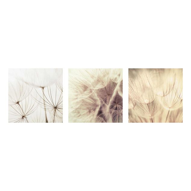 Floral canvas Dandelions And Grasses