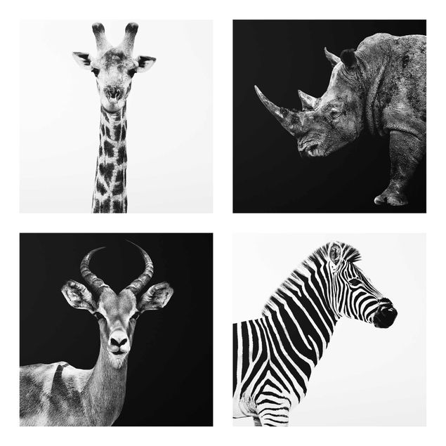 Black and white art Safari Quartet
