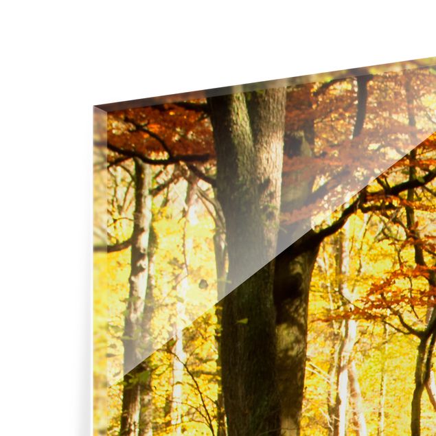 Prints modern Waterfall Autumnal Forest