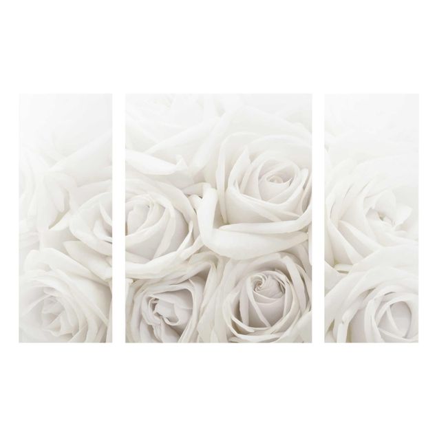 Glass prints flower White Roses