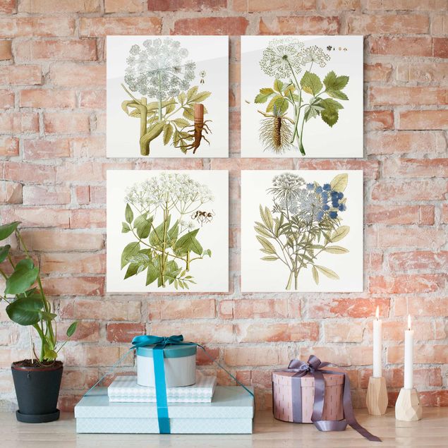 Glass prints flower Wild Herbs Board Set II